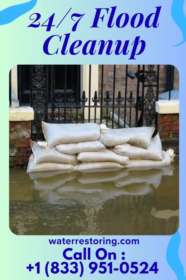 24/7 Flood Cleanup in Cheswold, DE