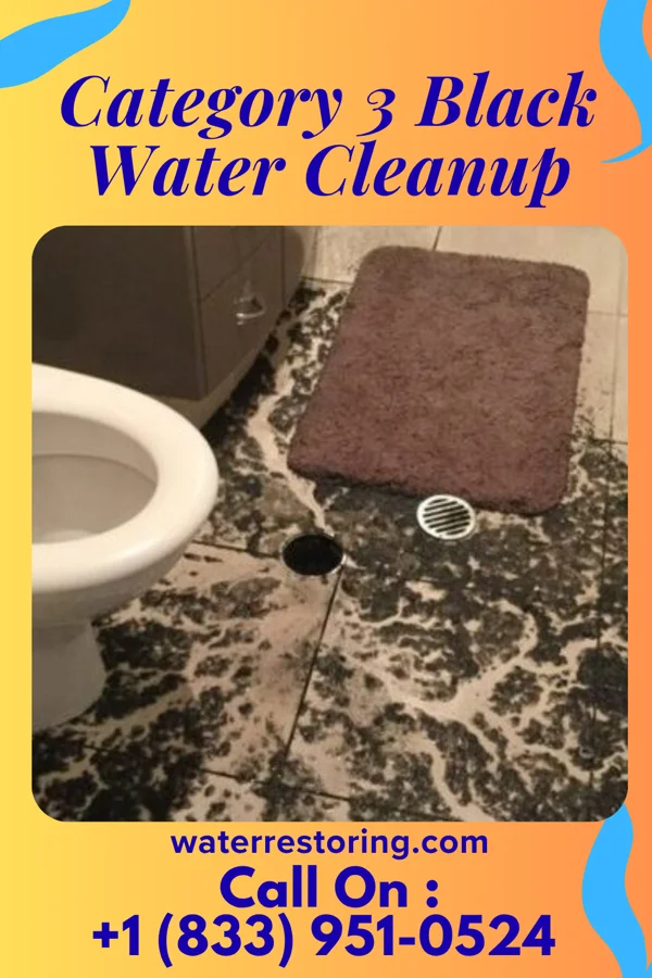 Category 3 Black Water Cleanup in Cheswold, DE