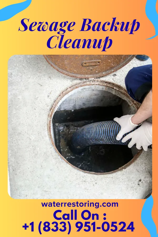 Sewage Backup Cleanup in Cheswold, DE